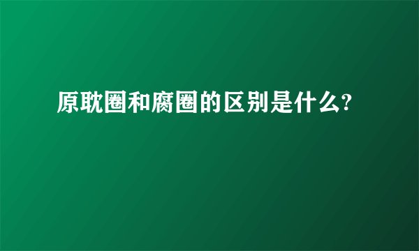 原耽圈和腐圈的区别是什么?