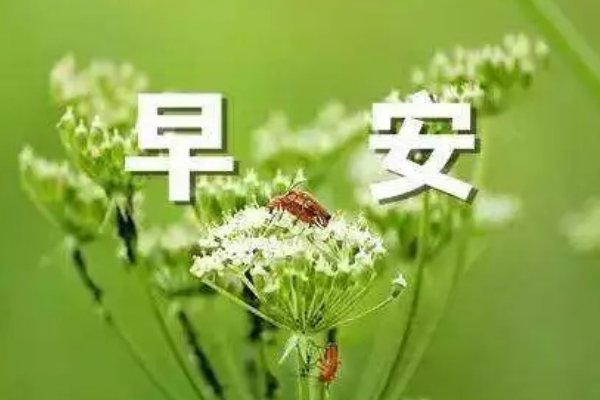 健康防疫早安问候语