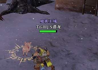 御龙在天怎么偷金猪