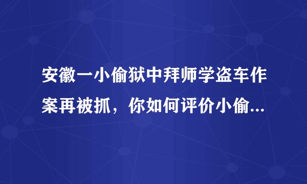 安徽一小偷狱中拜师学盗车作案再被抓，你如何评价小偷这一行为？