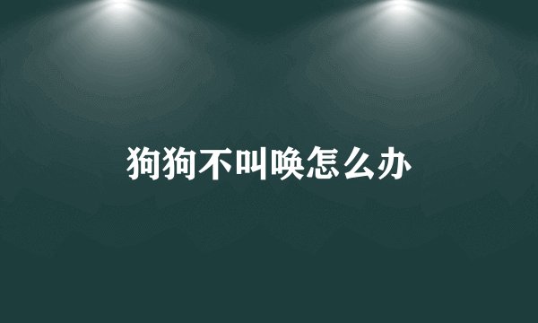 狗狗不叫唤怎么办