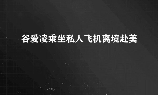 谷爱凌乘坐私人飞机离境赴美
