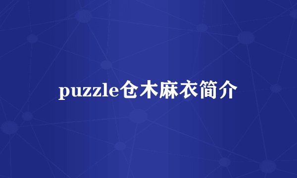 puzzle仓木麻衣简介