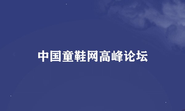 中国童鞋网高峰论坛