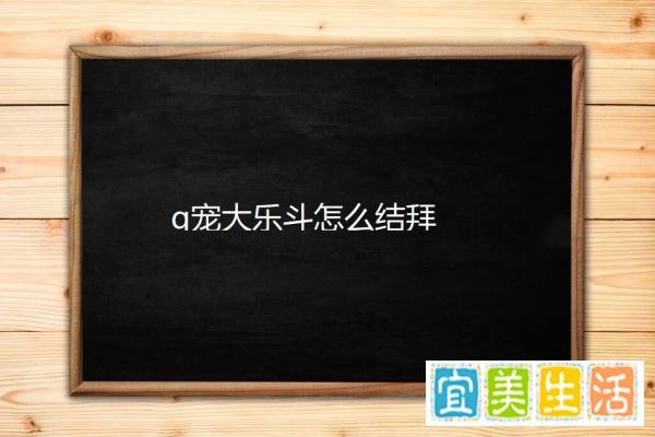 q宠大乐斗怎么结拜