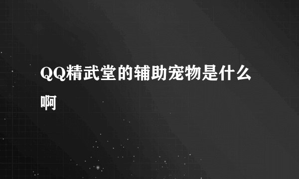 QQ精武堂的辅助宠物是什么啊