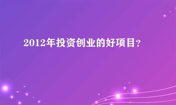 2012年投资创业的好项目？