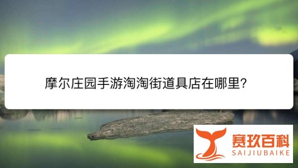 摩尔庄园手游淘淘街道具店在哪里？