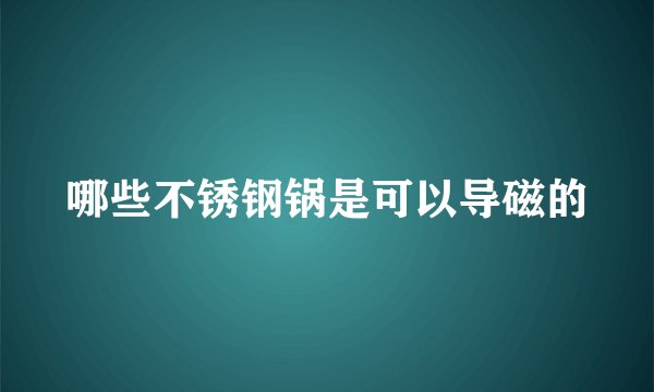哪些不锈钢锅是可以导磁的