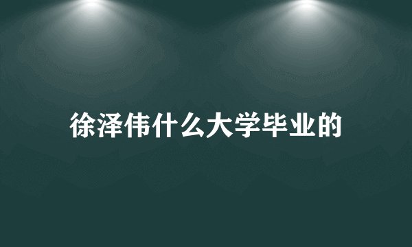 徐泽伟什么大学毕业的