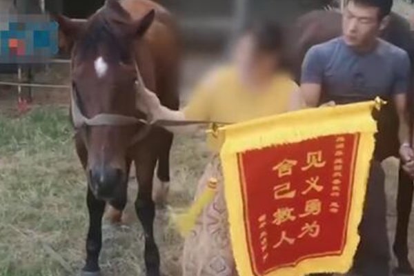 获救男孩妈妈向救命恩马致歉，她是怎么说的？