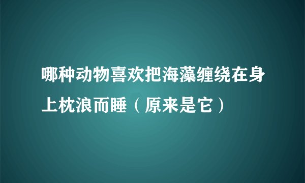 哪种动物喜欢把海藻缠绕在身上枕浪而睡（原来是它）