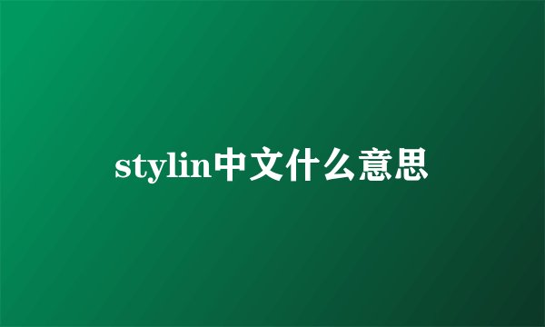 stylin中文什么意思