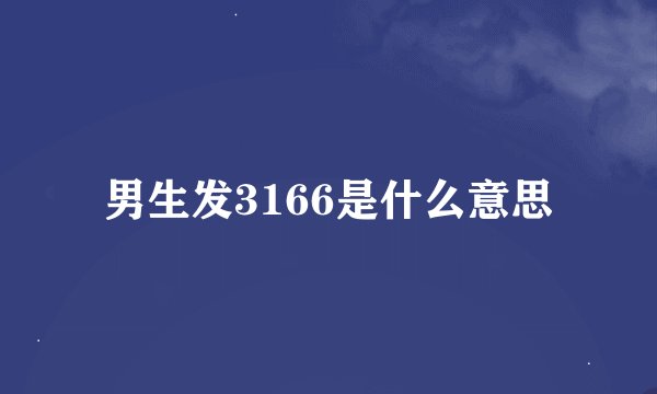 男生发3166是什么意思