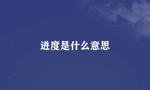 进度是什么意思