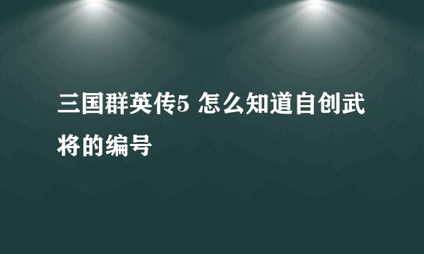 三国群英传5 怎么知道自创武将的编号