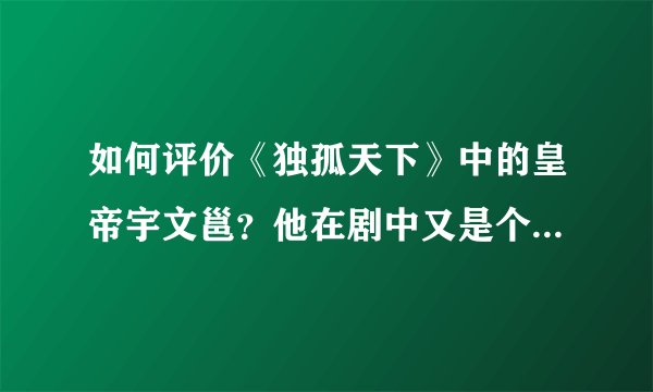 如何评价《独孤天下》中的皇帝宇文邕？他在剧中又是个什么样的人？