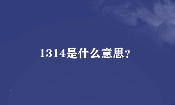 1314是什么意思？