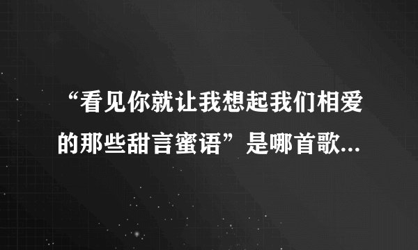 “看见你就让我想起我们相爱的那些甜言蜜语”是哪首歌曲的歌词