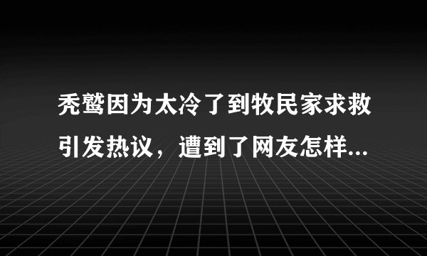 秃鹫因为太冷了到牧民家求救引发热议，遭到了网友怎样的调侃？