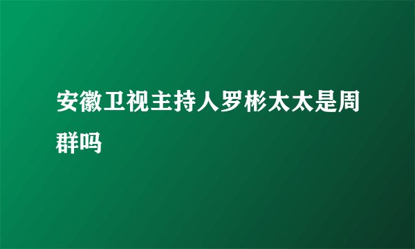 安徽卫视主持人罗彬太太是周群吗