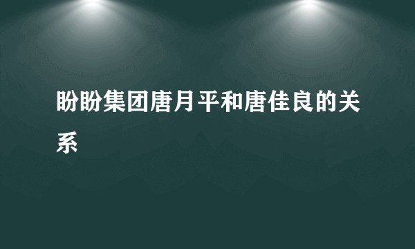 盼盼集团唐月平和唐佳良的关系