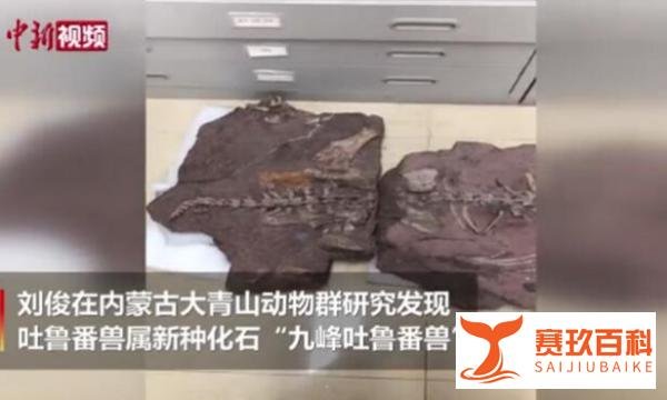 中国发现2.5亿年前九峰吐鲁番兽 你感觉怎么样？