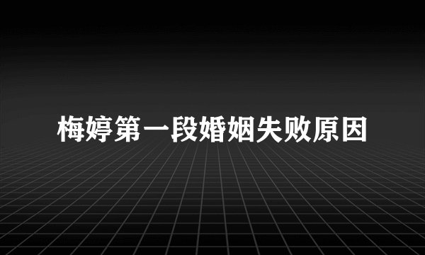 梅婷第一段婚姻失败原因