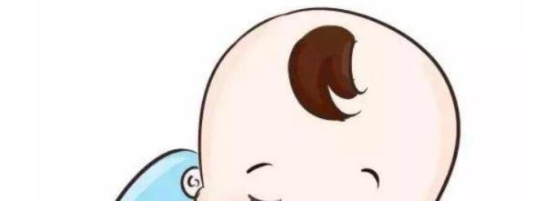 bb多少种类型