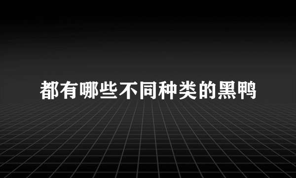 都有哪些不同种类的黑鸭