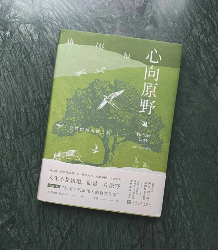 有什么好看的书籍推荐下?