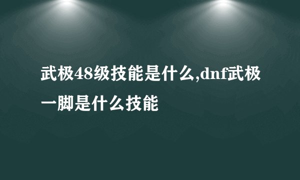 武极48级技能是什么,dnf武极一脚是什么技能