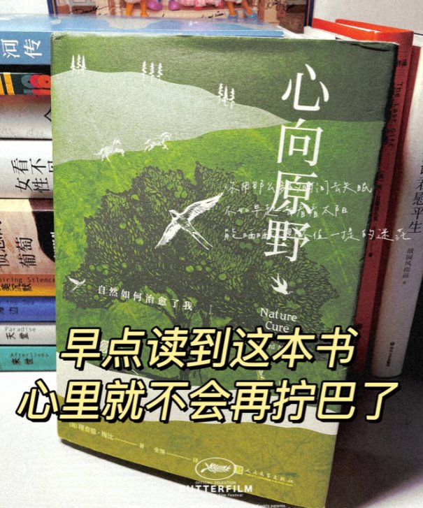 有什么好看的书籍推荐下?