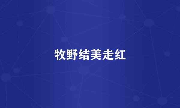 牧野结美走红