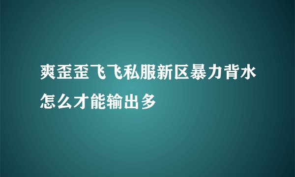 爽歪歪飞飞私服新区暴力背水怎么才能输出多
