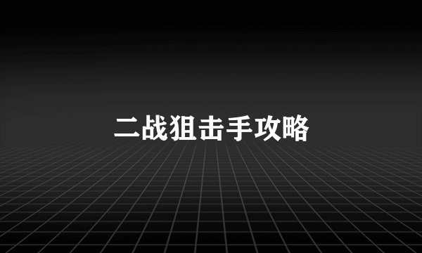 二战狙击手攻略