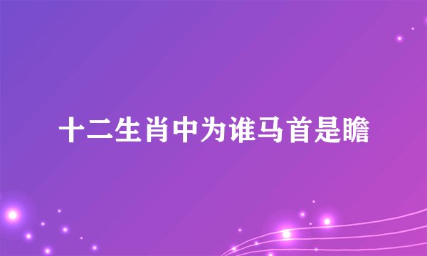 十二生肖中为谁马首是瞻