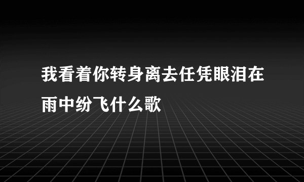 我看着你转身离去任凭眼泪在雨中纷飞什么歌