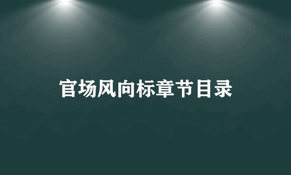 官场风向标章节目录