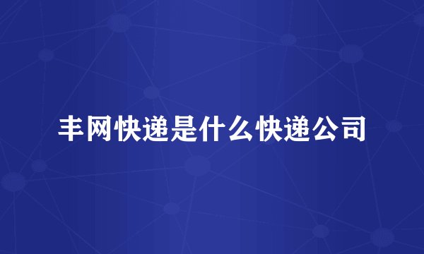 丰网快递是什么快递公司