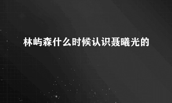 林屿森什么时候认识聂曦光的