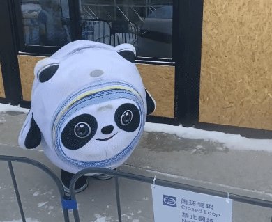 回顾冰墩墩爆红名场面合集,哪一瞬间让人印象深刻?