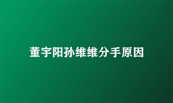 董宇阳孙维维分手原因