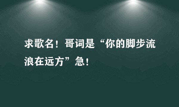 求歌名！哥词是“你的脚步流浪在远方”急！