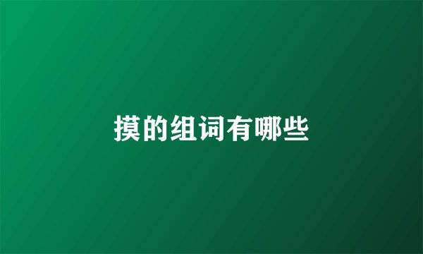 摸的组词有哪些