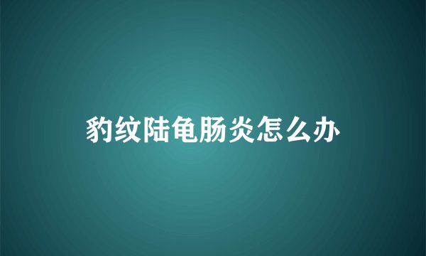 豹纹陆龟肠炎怎么办