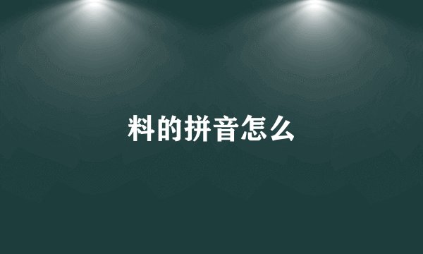 料的拼音怎么