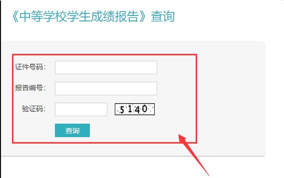 怎么查自己的中考成绩？