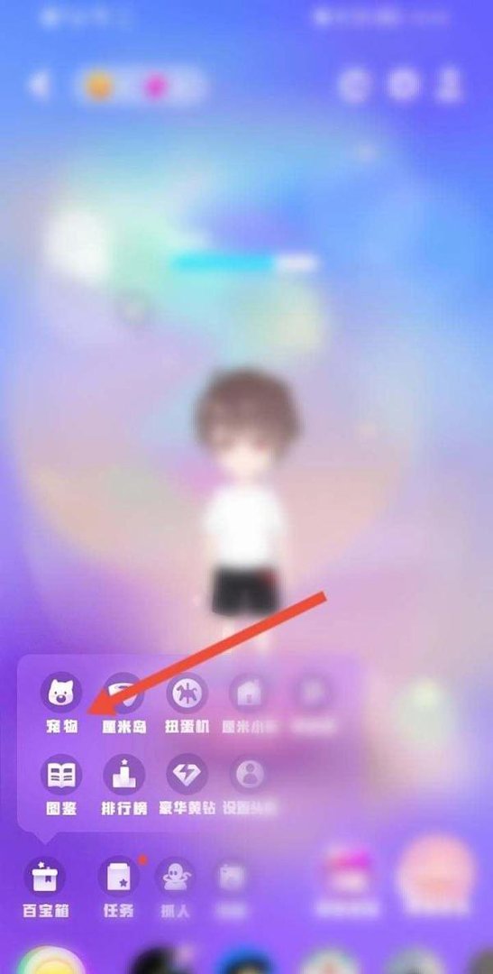 qq宠物在哪里