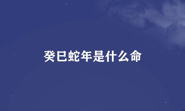 癸巳蛇年是什么命